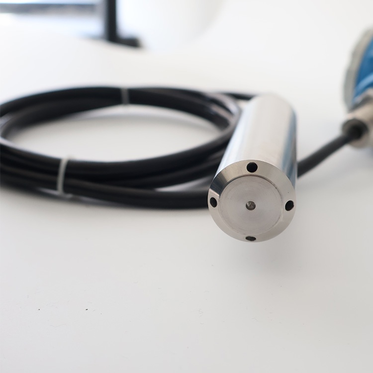 submersible water level sensor.jpg