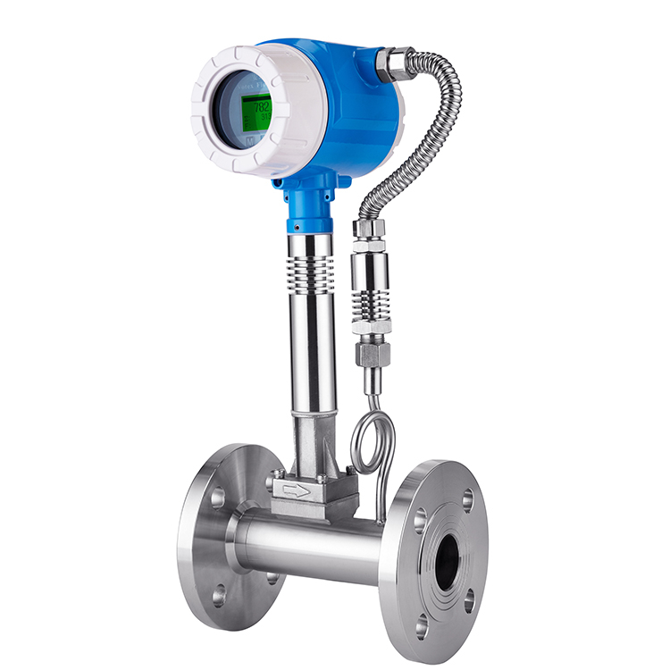vortex gas flow meter.jpg